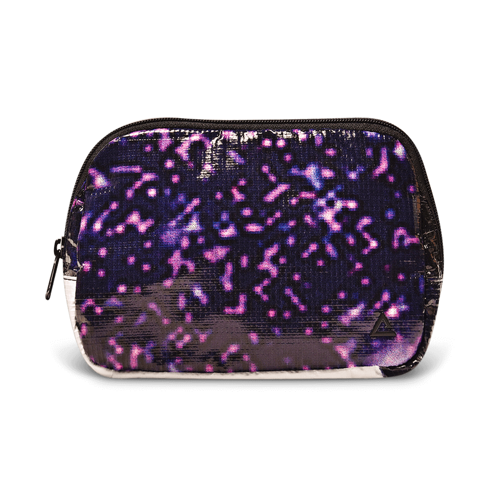 Zion Fanny Pack