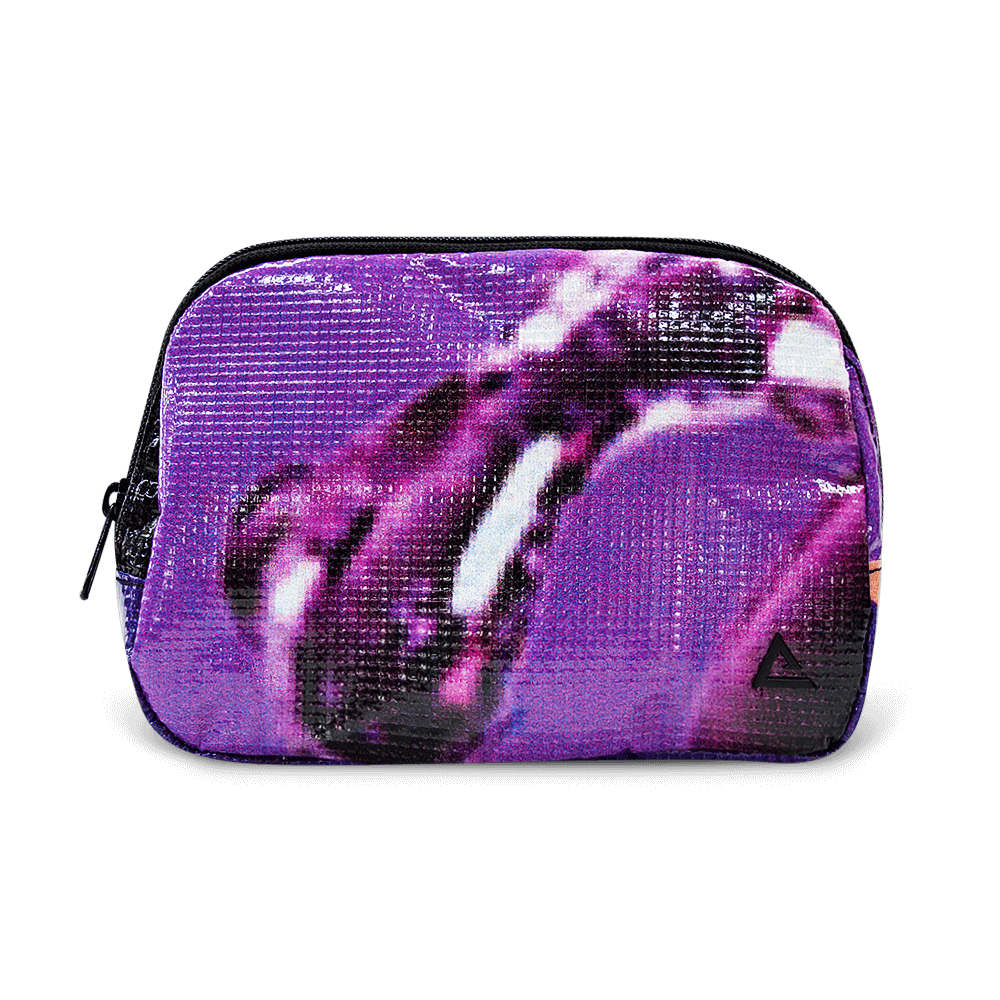 Zion Fanny Pack