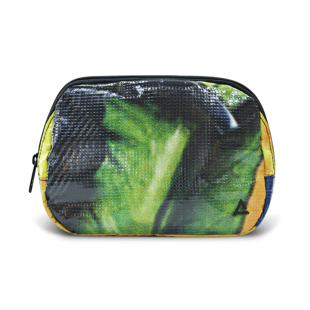 Zion Fanny Pack