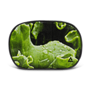 Riley Cosmetic Bag