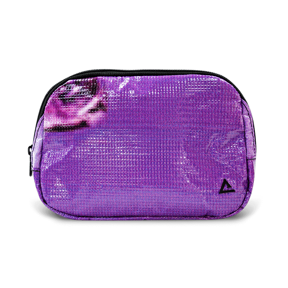 Zion Fanny Pack