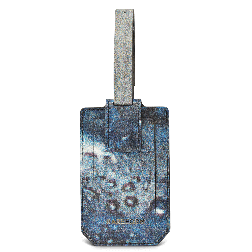 Salvador Luggage Tag