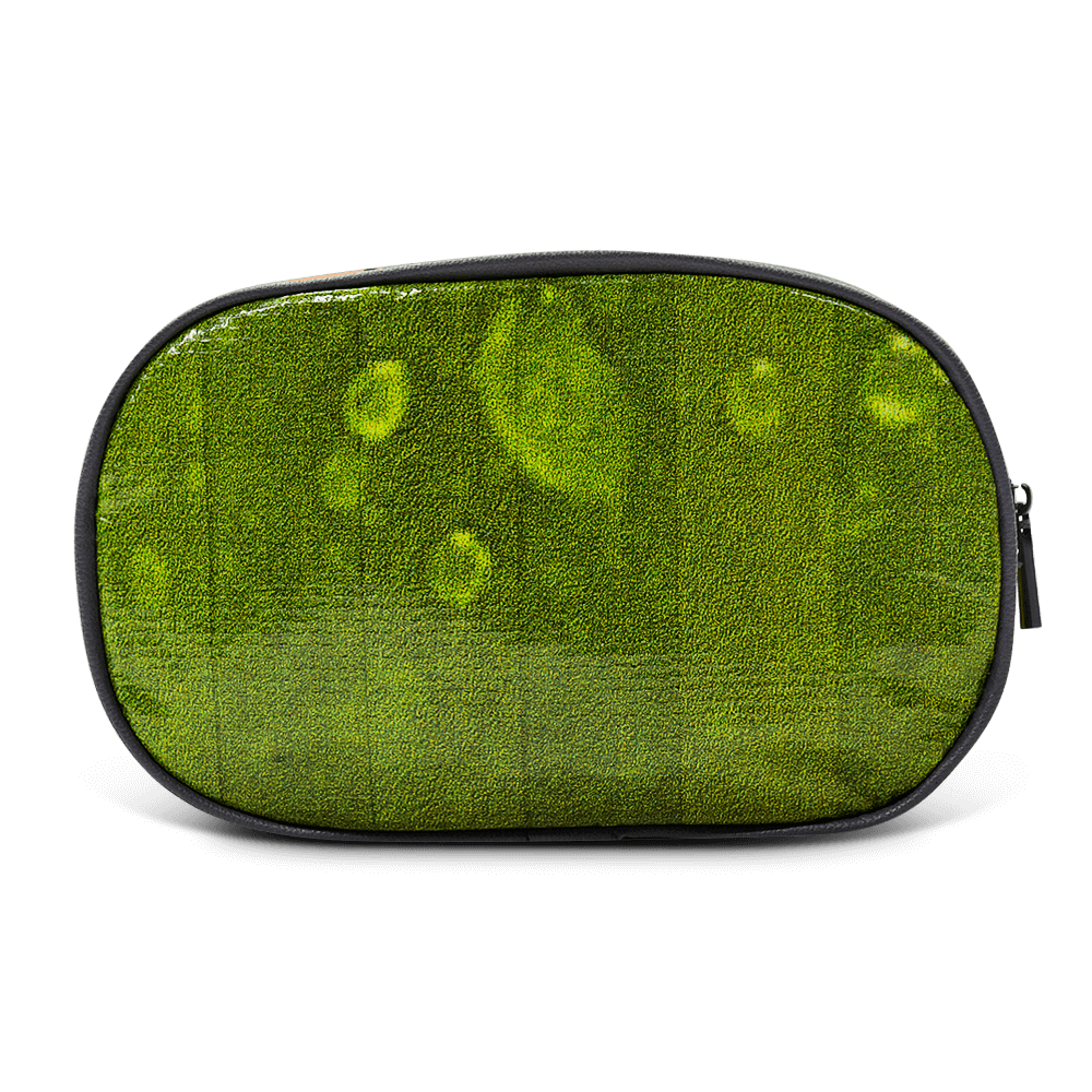 Riley Cosmetic Bag
