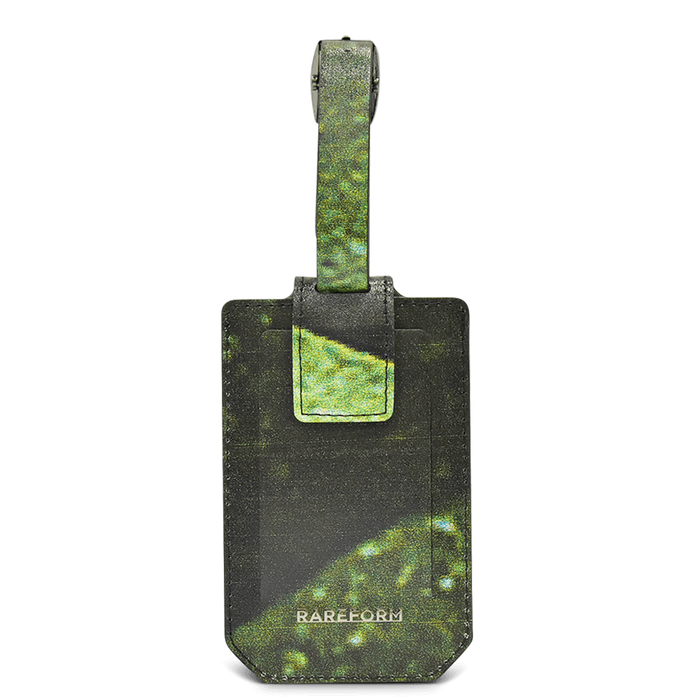 Salvador Luggage Tag