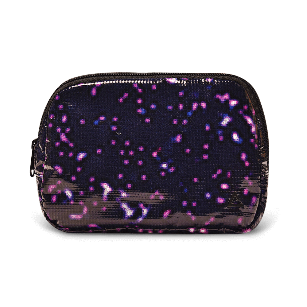 Zion Fanny Pack