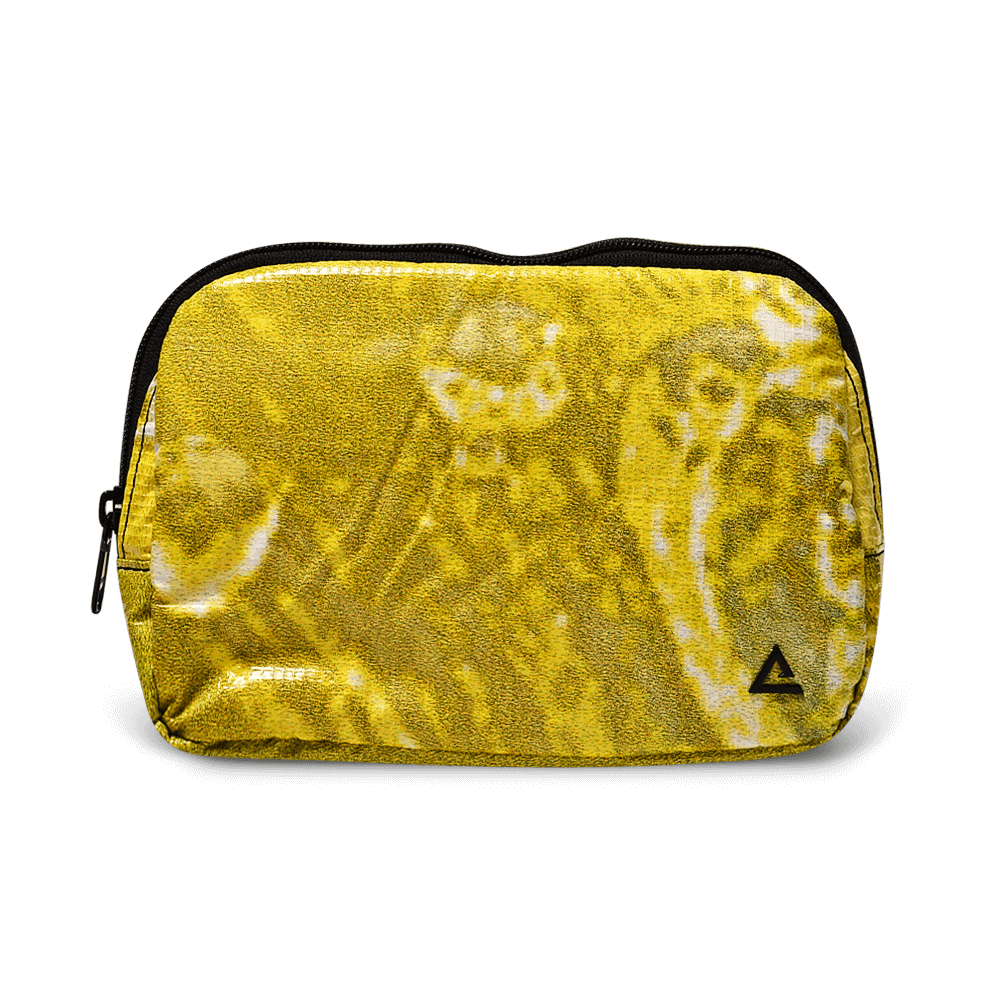 Zion Fanny Pack
