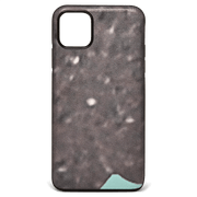 iPhone 11 Pro Max Case