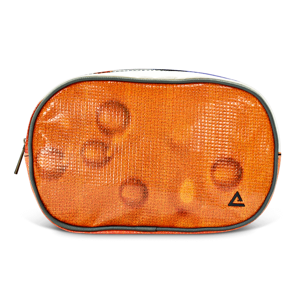 Riley Cosmetic Bag