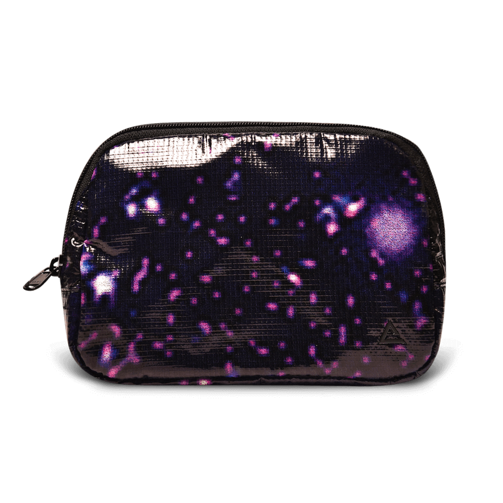Zion Fanny Pack