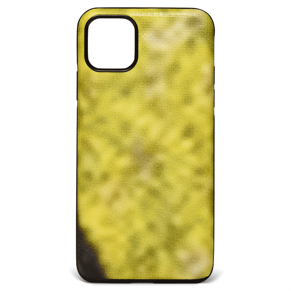 iPhone 11 Pro Max Case