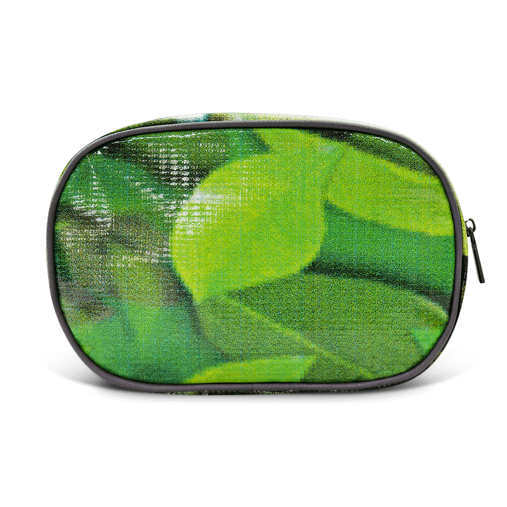 Riley Cosmetic Bag