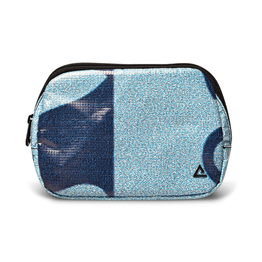 Zion Fanny Pack