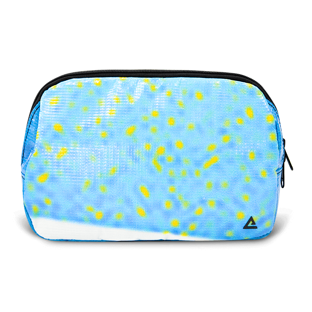 Large Zion Sling Bag