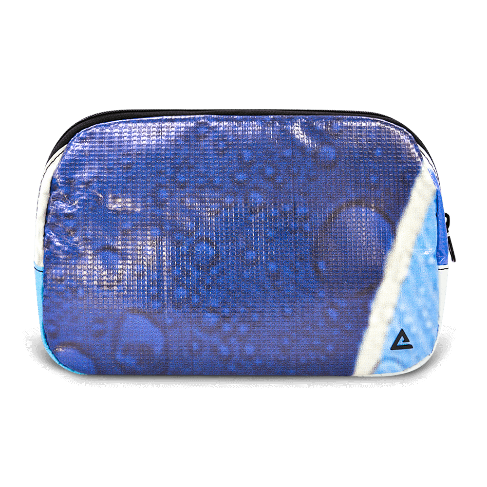 Large Zion Sling Bag
