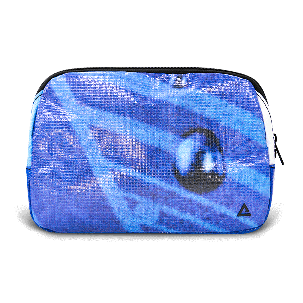 Large Zion Sling Bag