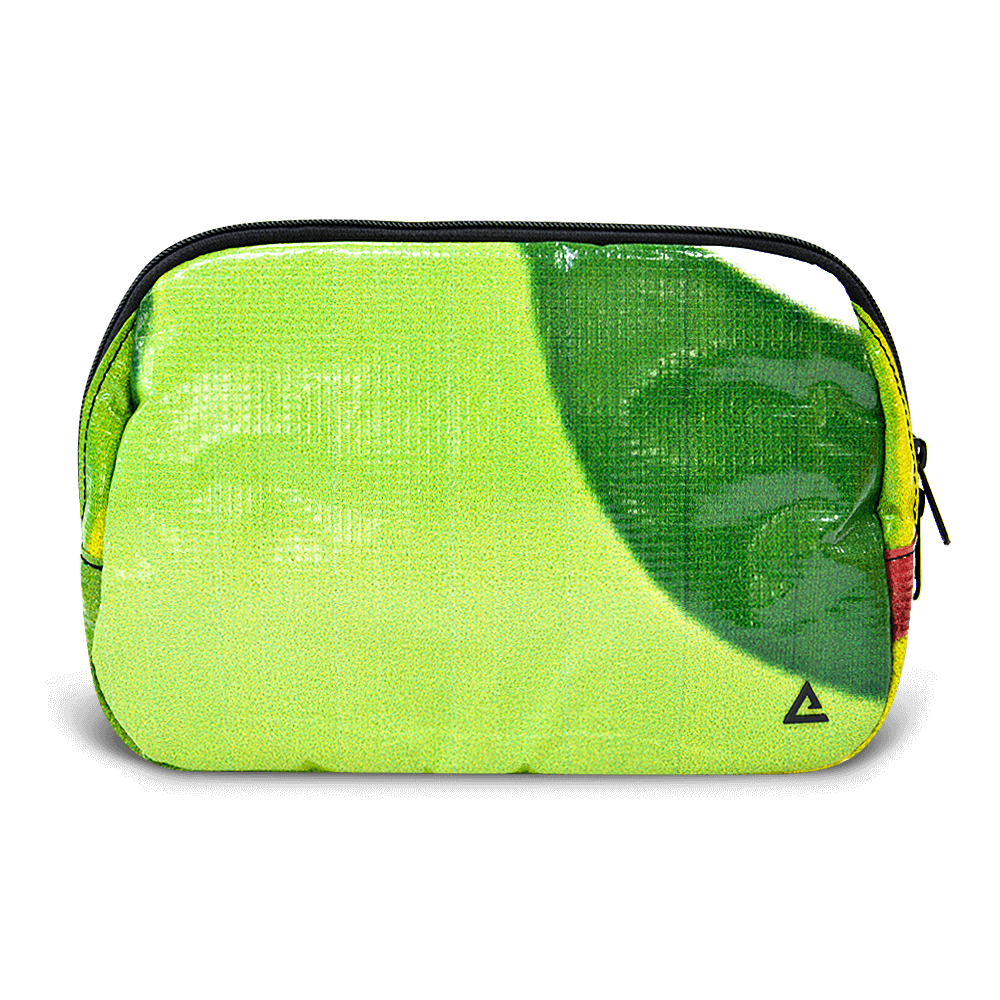 Large Zion Sling Bag
