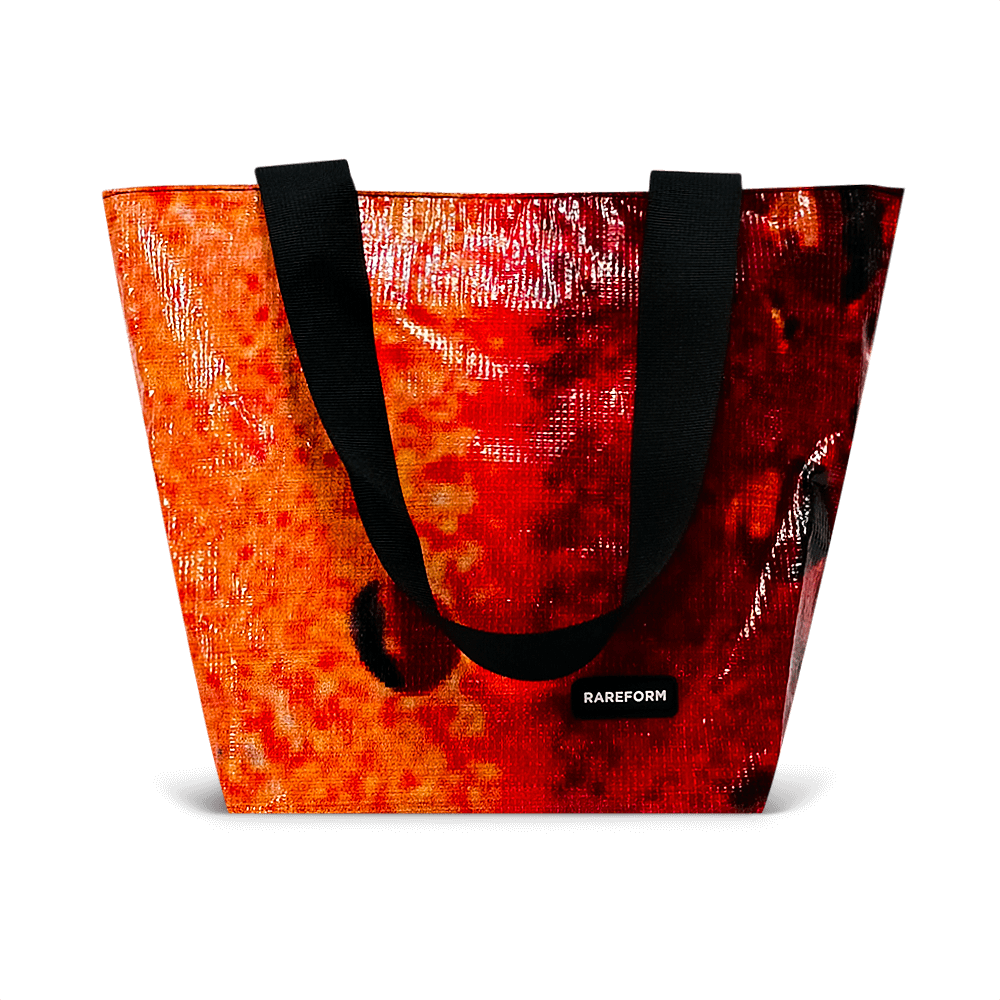 Mini Blake Tote