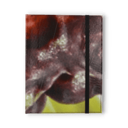 Oliver Notebook
