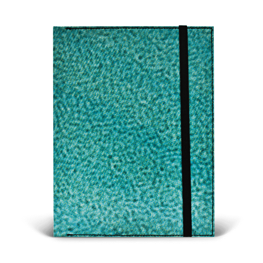 Oliver Notebook
