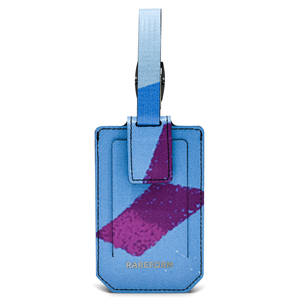 Salvador Luggage Tag