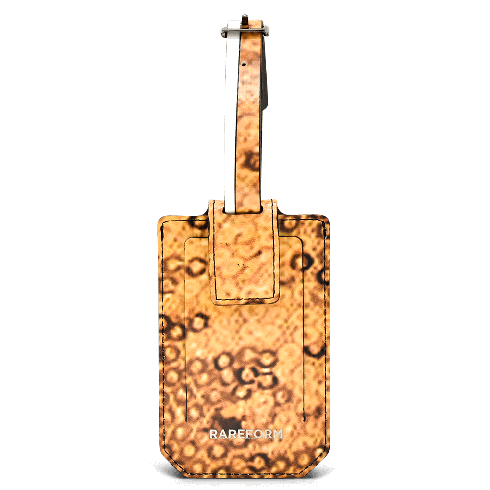Salvador Luggage Tag