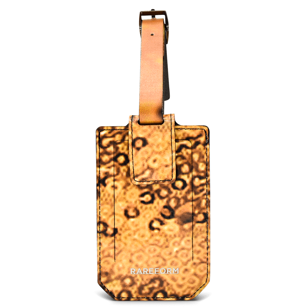 Salvador Luggage Tag