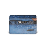 Veer Card Holder