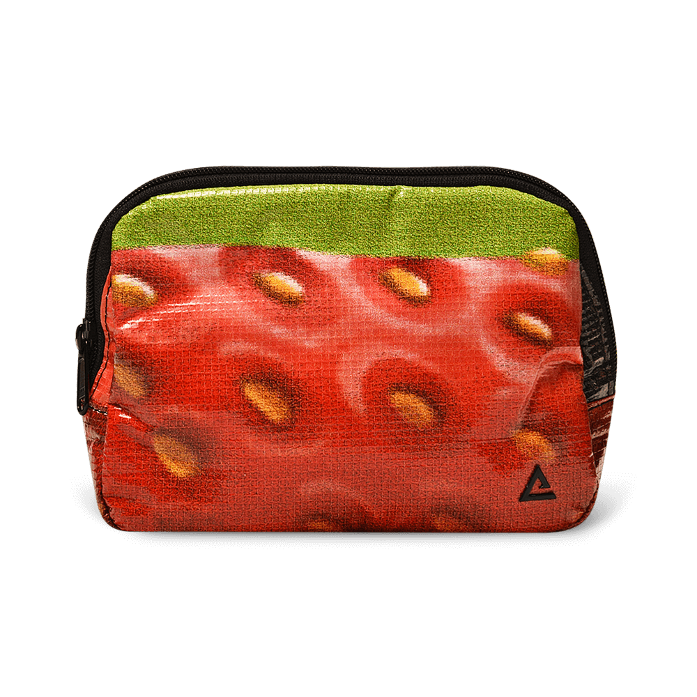 Zion Fanny Pack