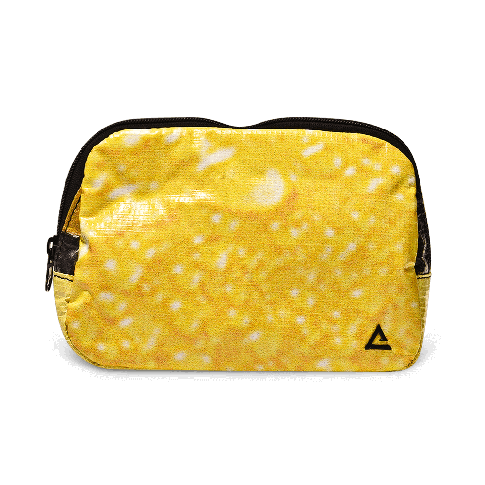 Zion Fanny Pack