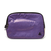 Zion Fanny Pack