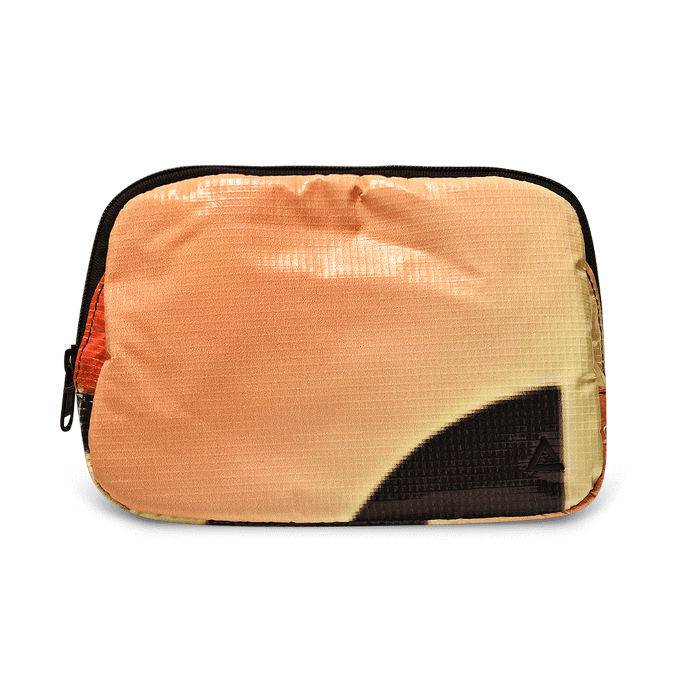Zion Fanny Pack