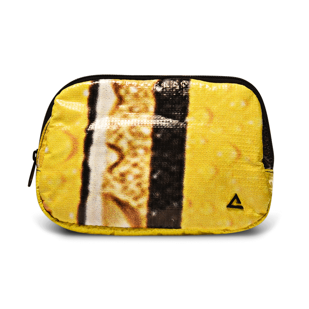 Zion Fanny Pack
