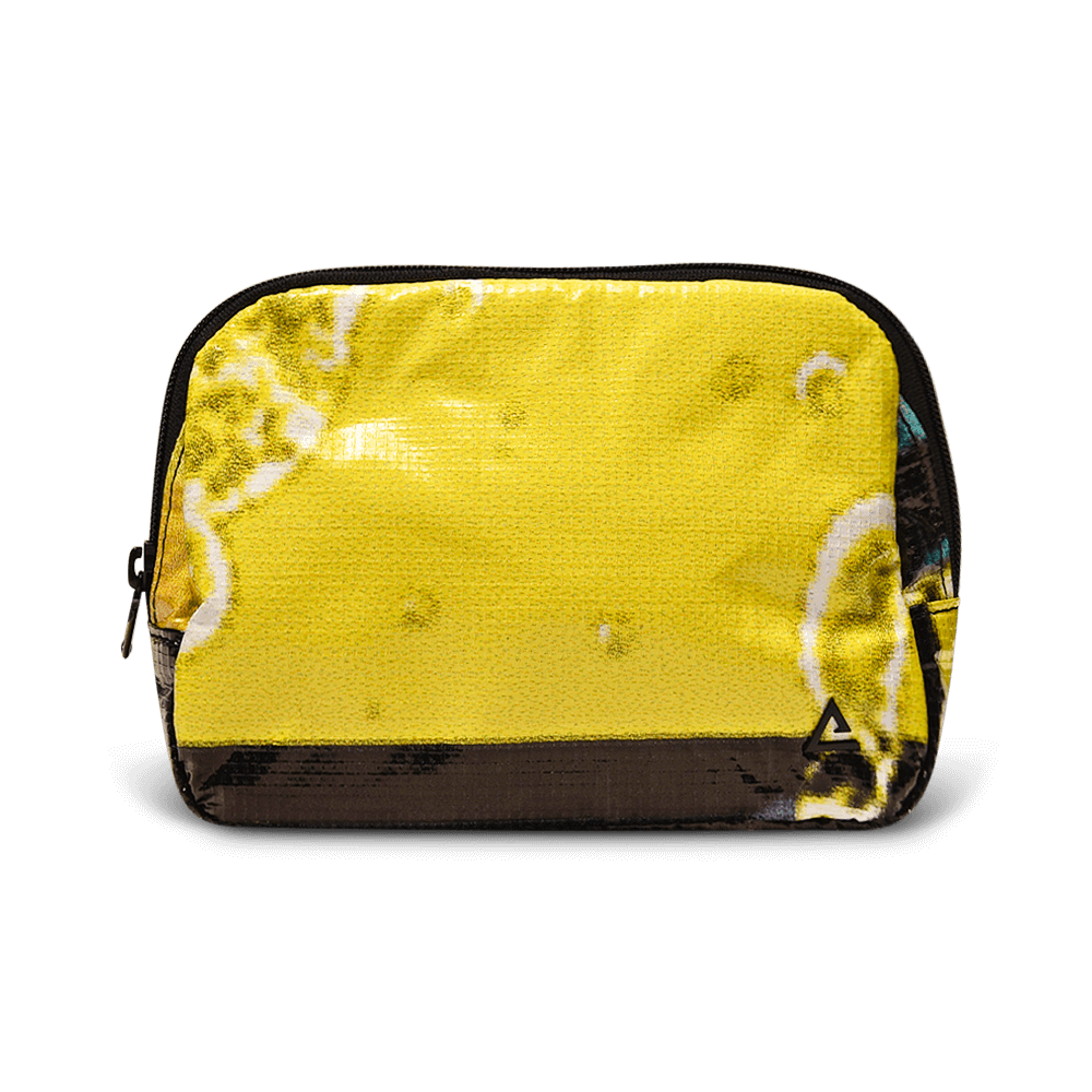 Zion Fanny Pack