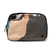 Zion Fanny Pack