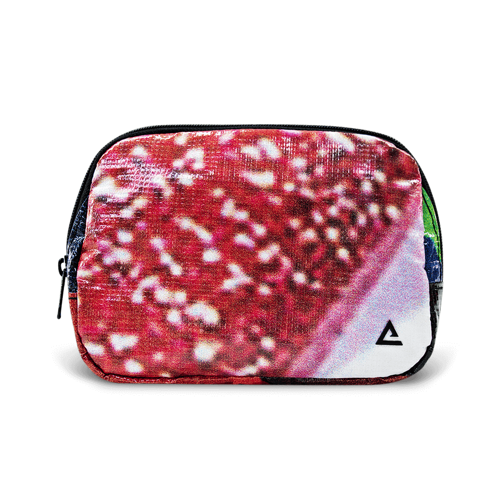Zion Fanny Pack