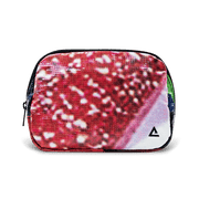Zion Fanny Pack