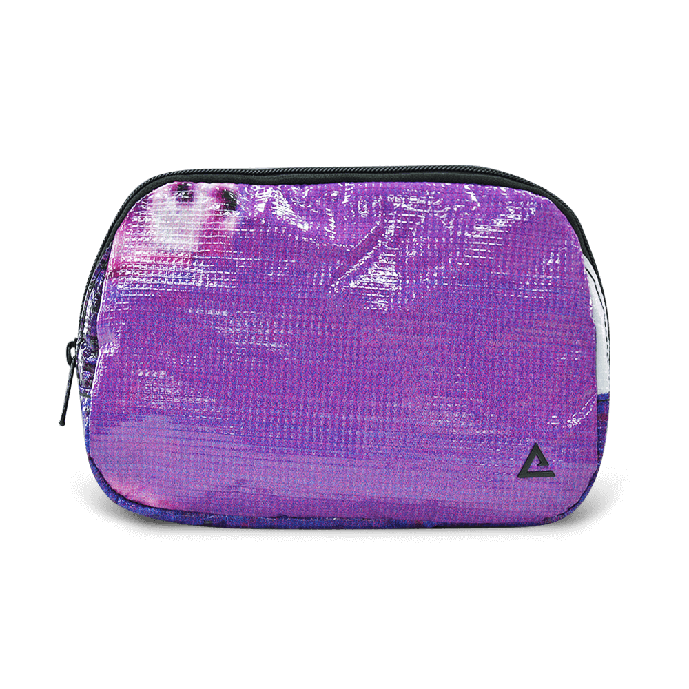 Zion Fanny Pack