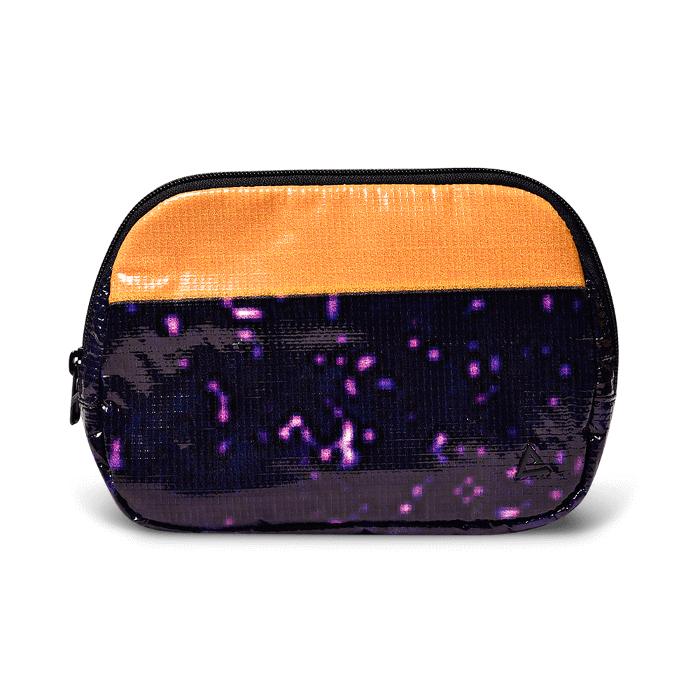 Zion Fanny Pack