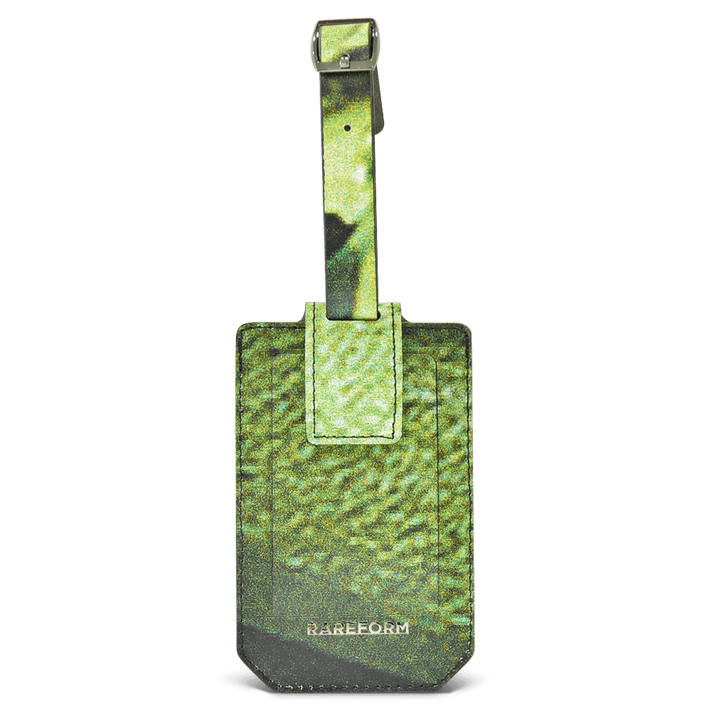 Salvador Luggage Tag