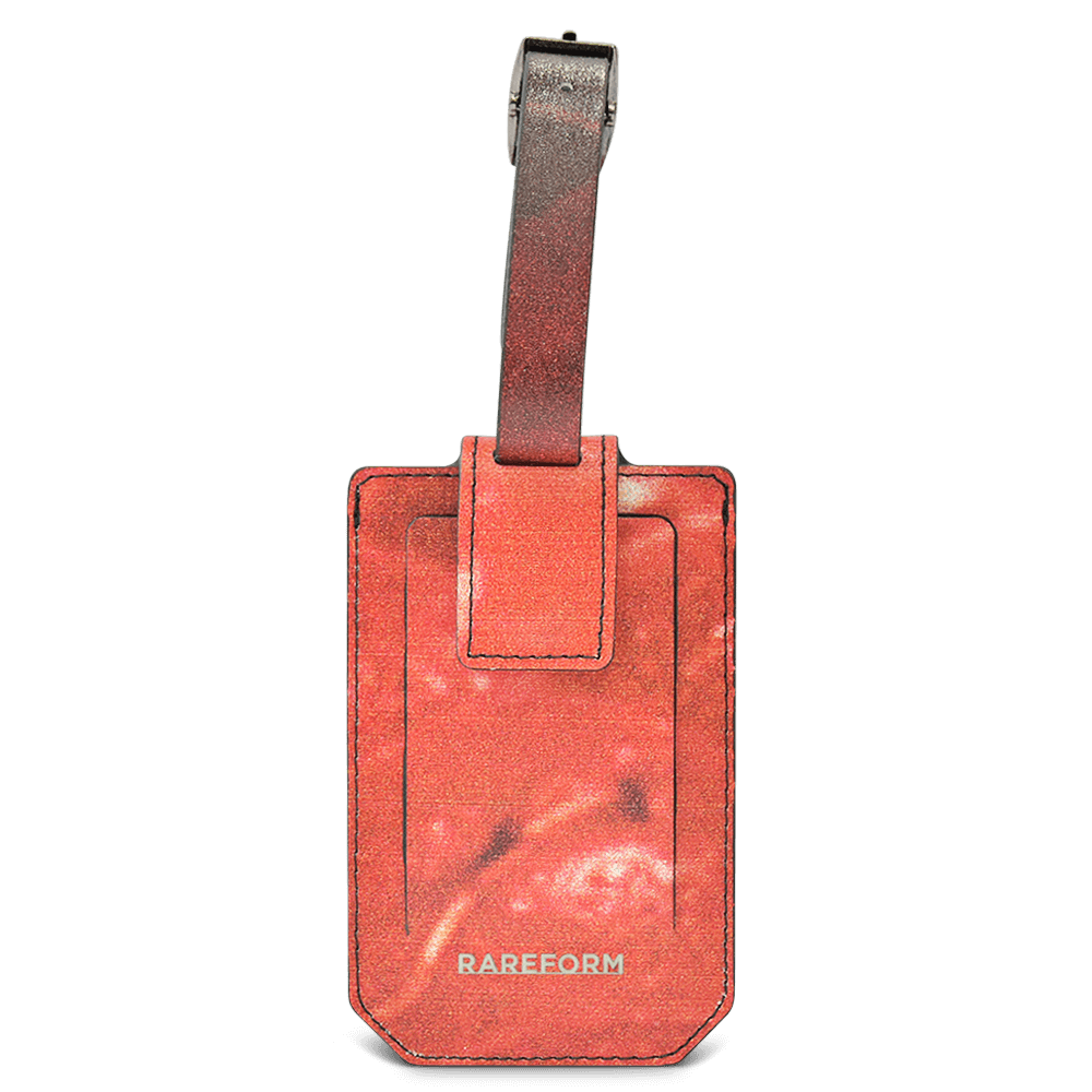 Salvador Luggage Tag