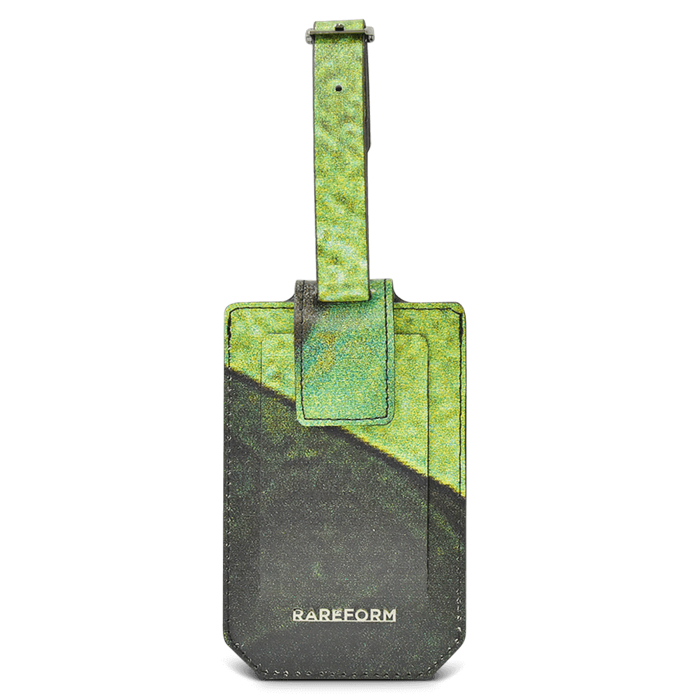 Salvador Luggage Tag