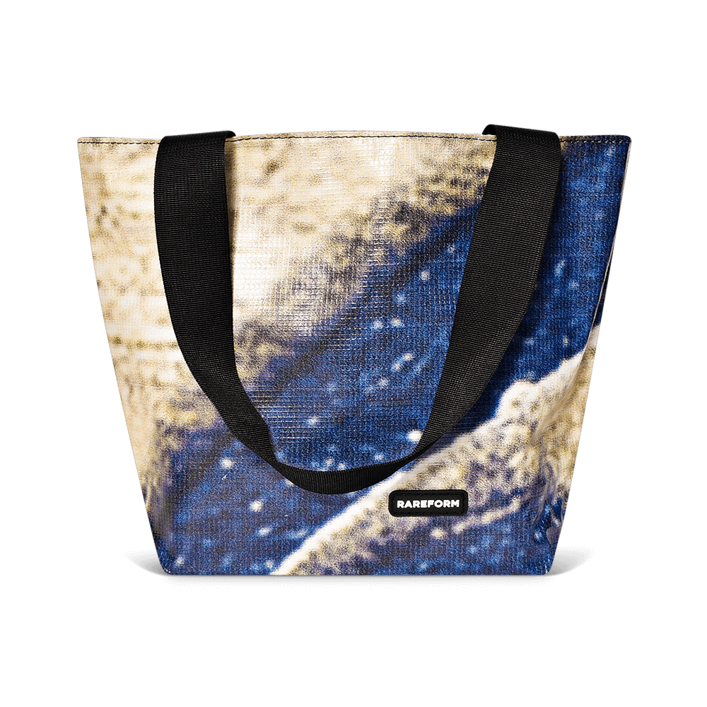 Mini Blake Tote