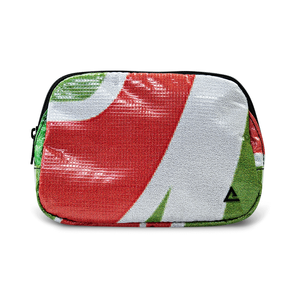 Zion Fanny Pack