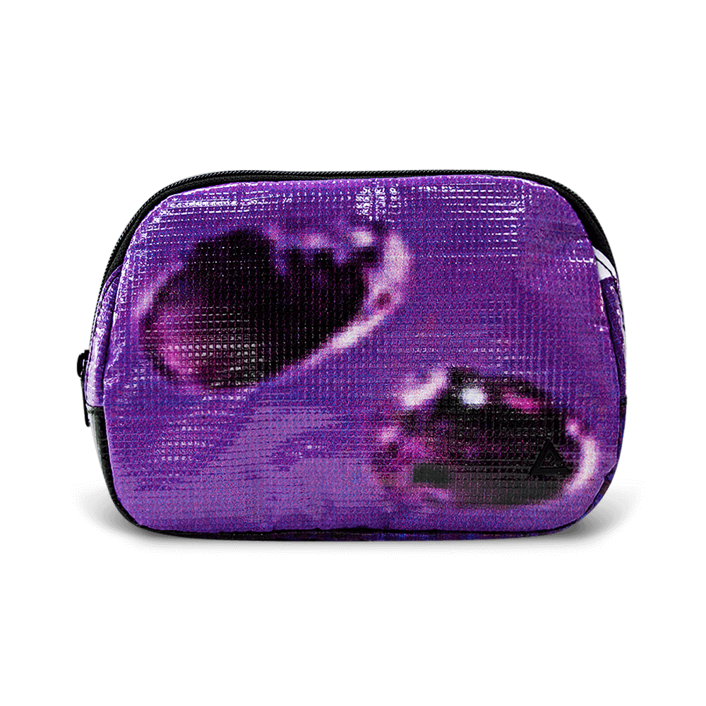 Zion Fanny Pack