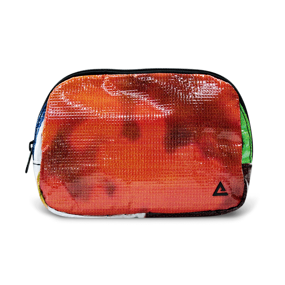 Zion Fanny Pack