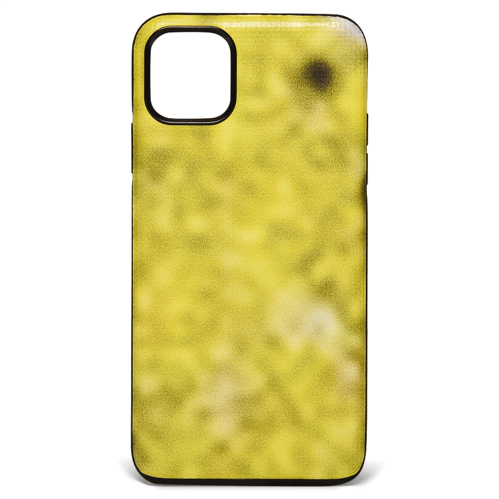 iPhone 11 Pro Max Case