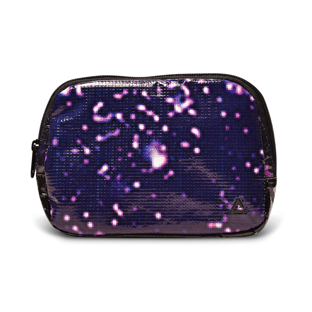 Zion Fanny Pack