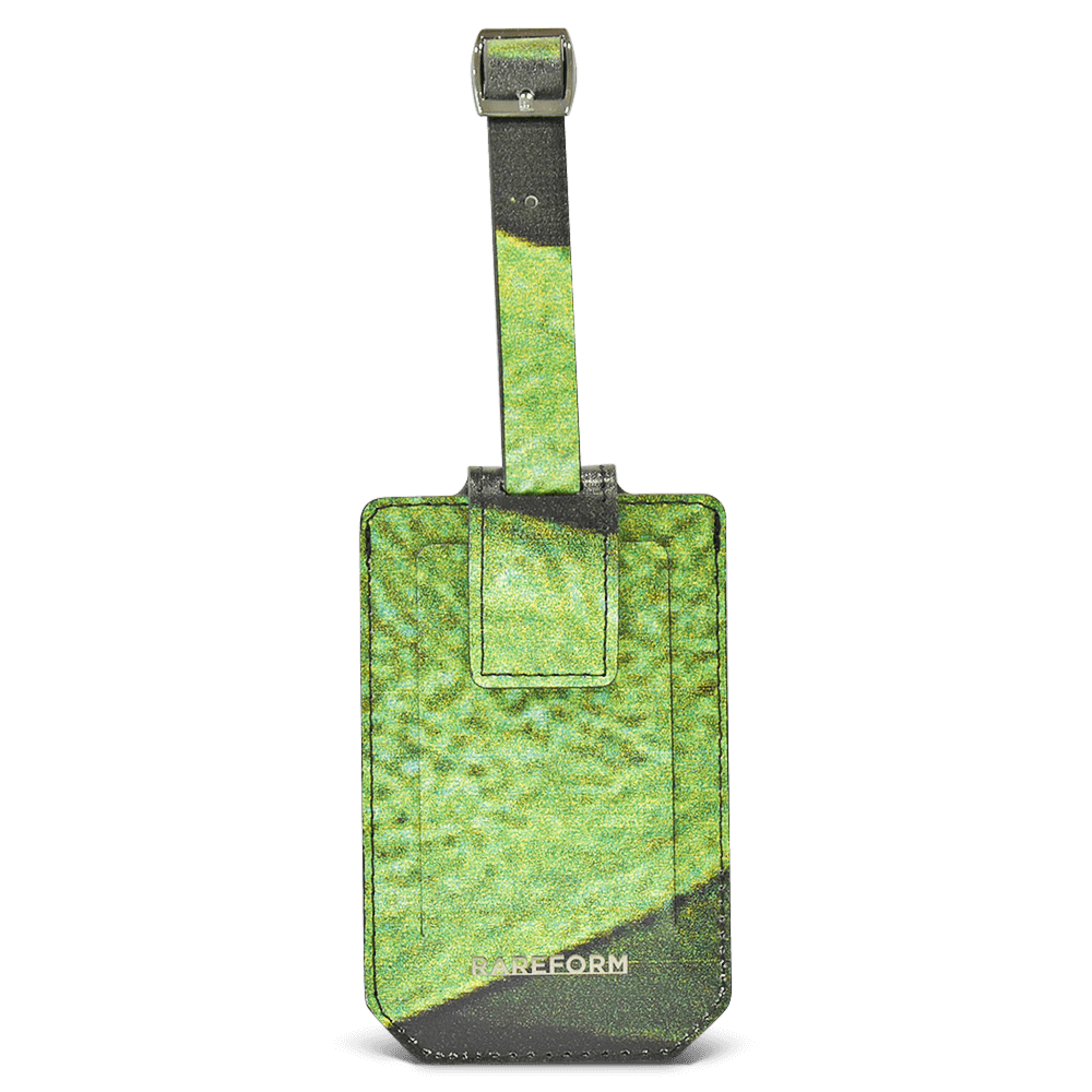 Salvador Luggage Tag
