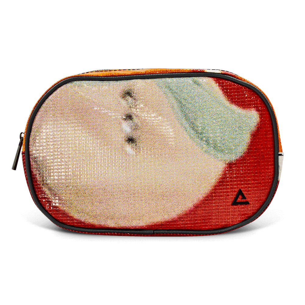 Riley Cosmetic Bag