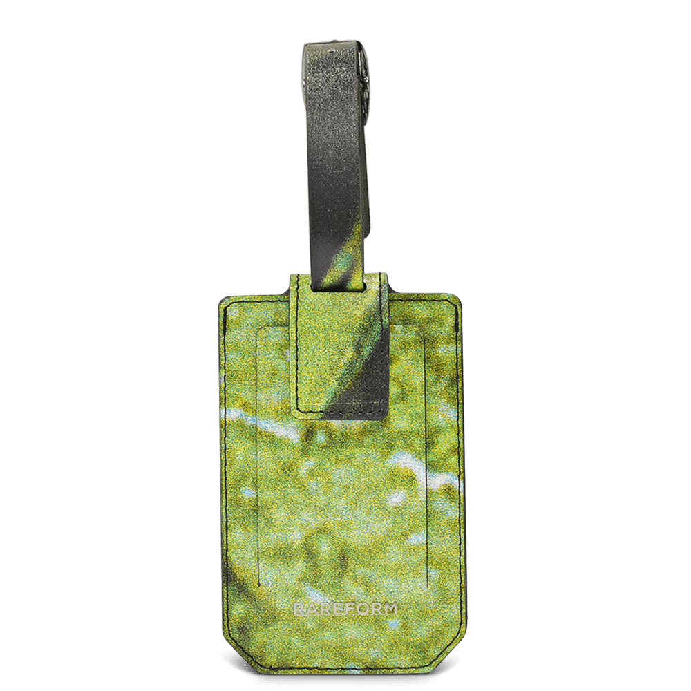 Salvador Luggage Tag